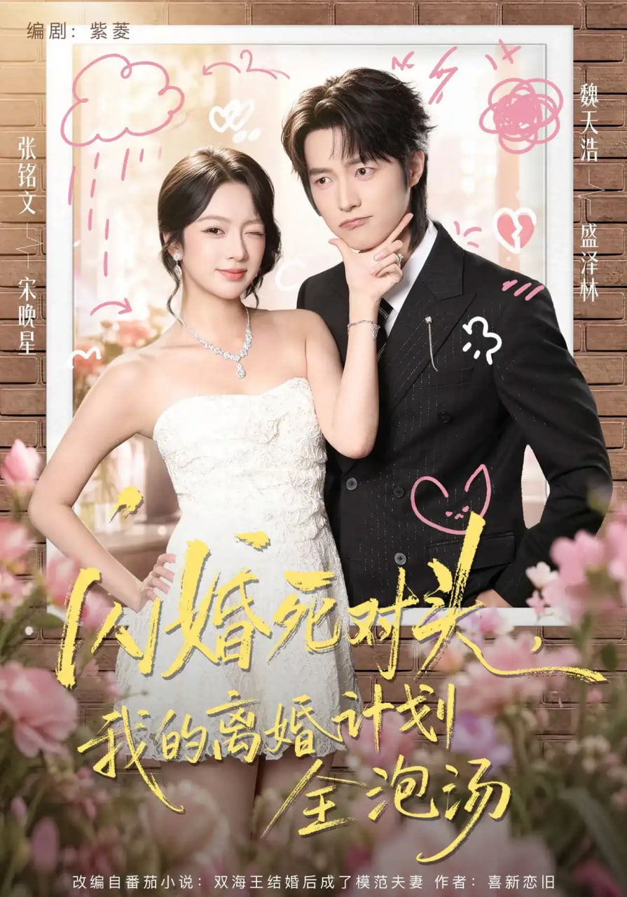 闪婚死对头我的离婚计划全泡汤